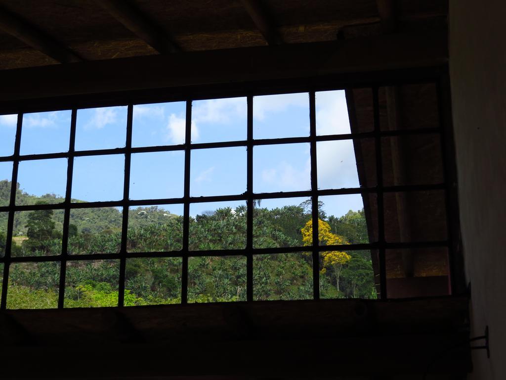 Jardin Utopia Экстерьер фото